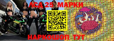 гашик Новокубанск