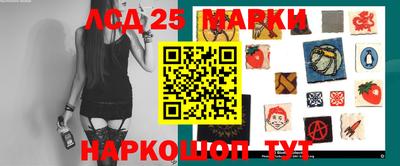 гашик Новокубанск