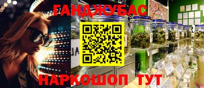 шишки Новозыбков