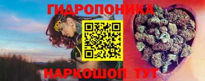 гашик Новокубанск