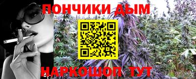 шишки Новозыбков