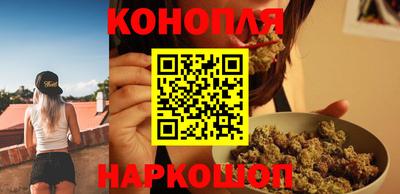 шишки Новозыбков