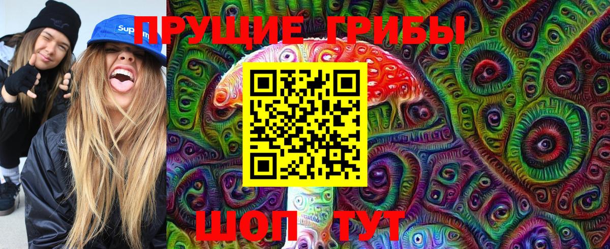 Галлюциногенные грибы Cubensis Сафоново