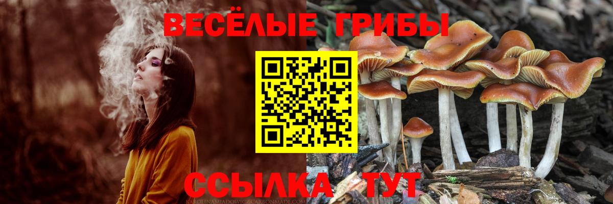 Псилоцибиновые грибы мицелий  Вход с VPN  Сафоново 